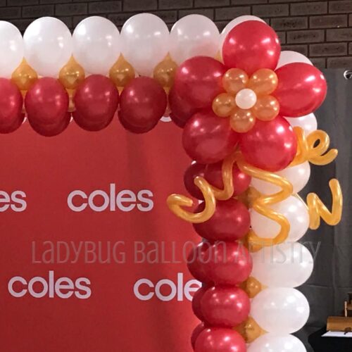 balloon_photo_frame_red_white_gold_personalized_coles_telethon